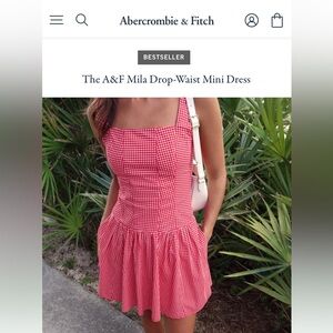Abercrombie Gingham Dress